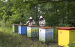 Tikkurila na rzecz ochrony pszczół